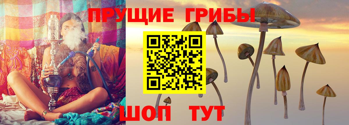 Галлюциногенные грибы MAGIC MUSHROOMS Златоуст